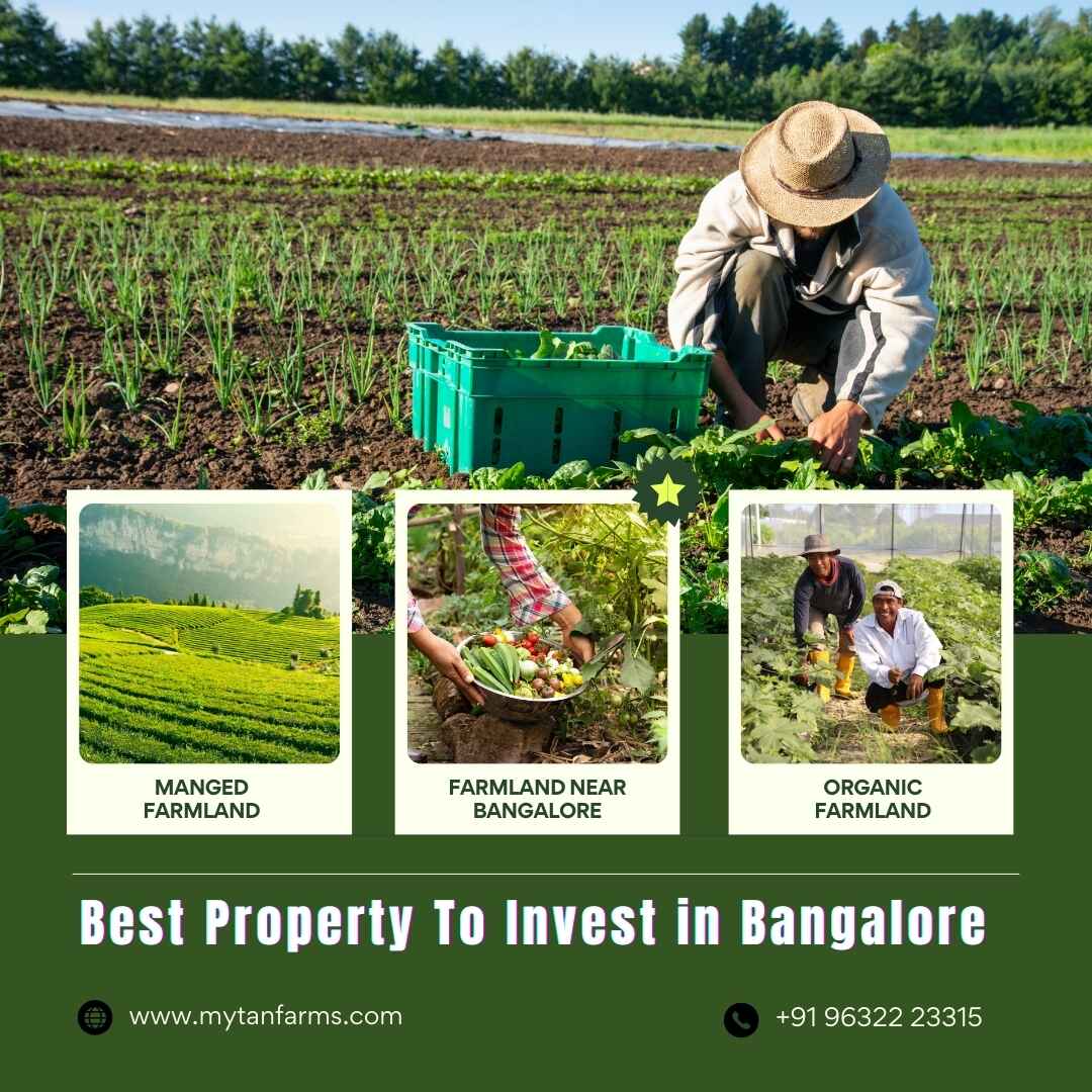 Best Property To Invest In Bangalore